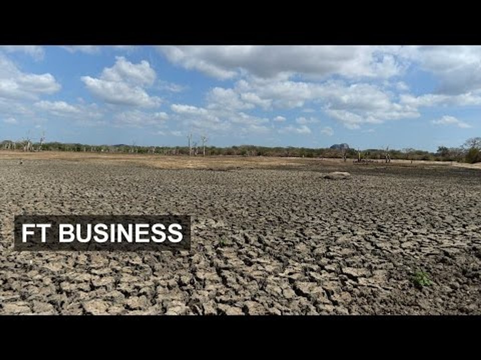 Bank prods insurers about climate plans