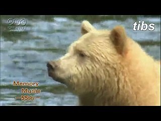 （taoyakaibs）メモリーミュージック第５５回