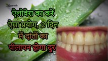 Aloe Vera Benefits ऐलोवेरा से 2 दिन में दांतों का पीलापन दूर   Indian Ayurveda   The Science Of life