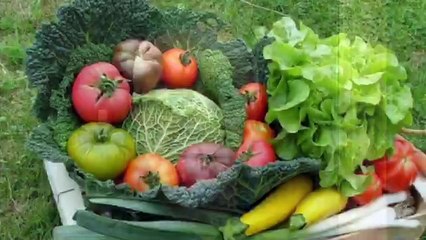 Les mots Jardin et légumes