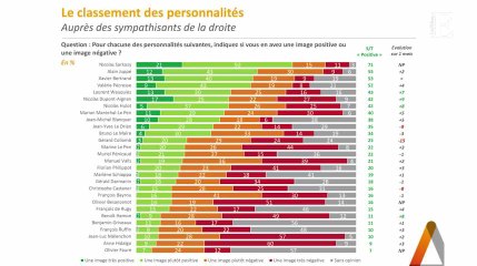Personnalités politiques : Nicolas Sarkozy, "valeur refuge" à droite