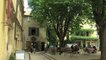 My Provence BELLES ROUTES : Belles routes 29 05 15 - St Rémy/Salon 2/2