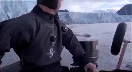 Polar Bear Dying From Global Warming