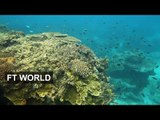 El Nino exacerbates Great Barrier Reef bleaching I FT World