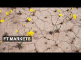 Value or growth? | FT Markets