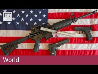 Missouri sees new fight over guns | FT World