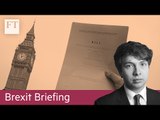 UK publishes ‘shoddy’ Brexit white paper