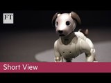 Sony expecting a robot dog year in Japan | Short View