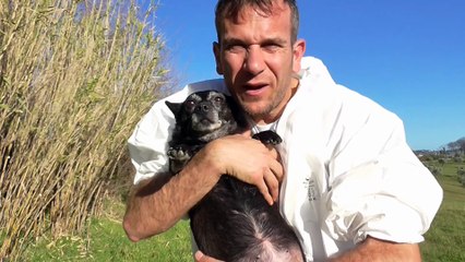 AGGIORNAMENTO CON TRILLY MA MARE CALMO 12 GENNAIO 2016