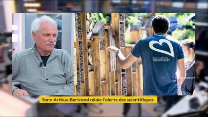Yann Arthus-Bertrand : " On a perdu 30 % des oiseaux et 80% des insectes volants"