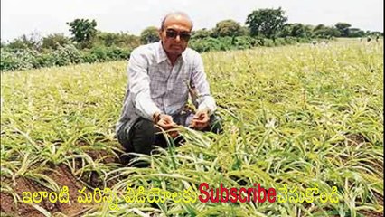 PATANJALI AYURVED CONTRACT FORMING IN TELUGU/ CONTRACT FARMING WITH PATANJALI IN TELUGU | SMALL SCALE INDUSTRY | SSI| VIDEO TRENDZ
