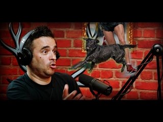 Maluco Beleza - "Foi o meu cão que foi contra mim" - Pedro Tochas