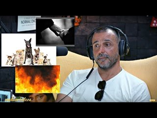 Maluco Beleza - "... Ando a dizer adeus à Maria todos os dias" - Nuno Gama (pt3)