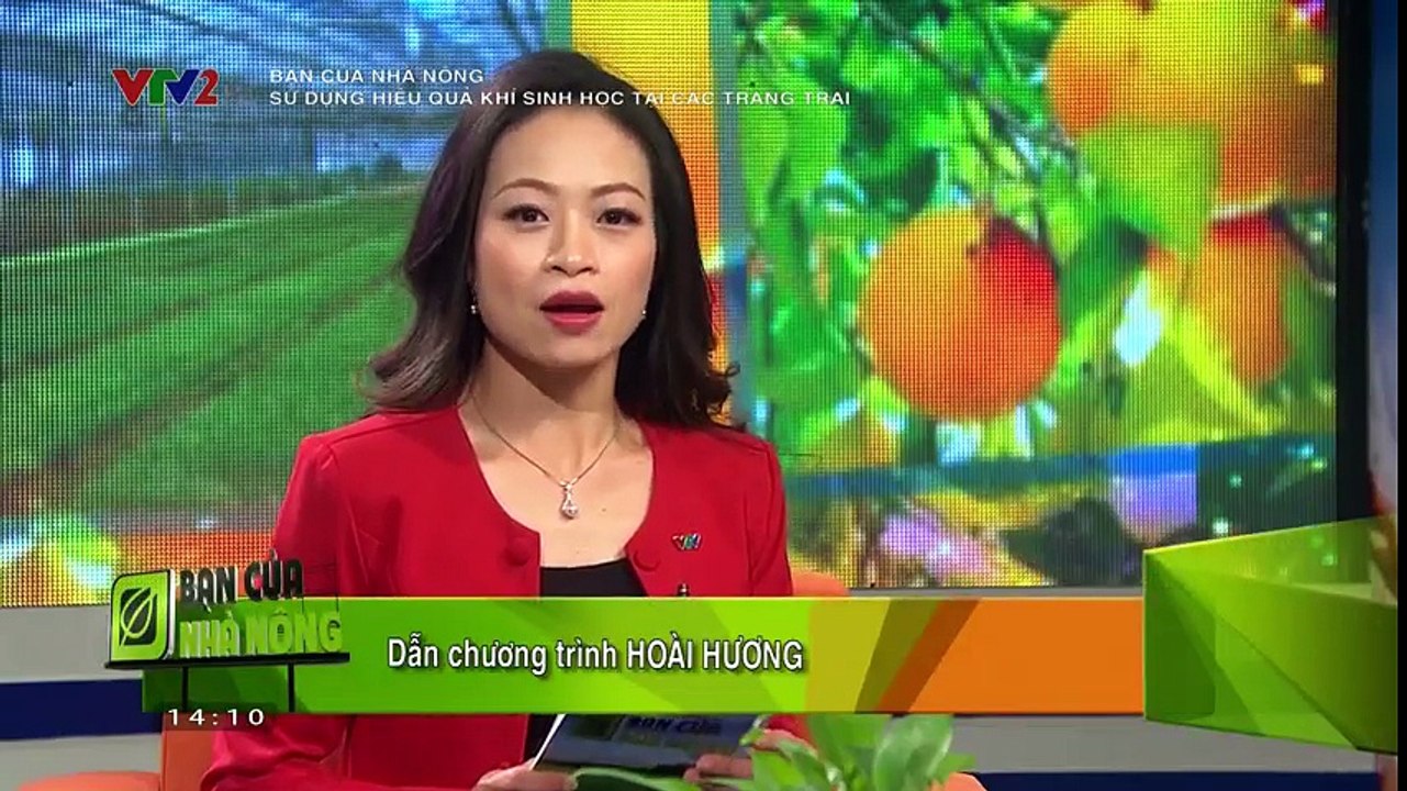 Bạn của nhà nông:  Cam sành Hàm Yên; Giải pháp sử dụng khí sinh học tại các trang tại chăn nuôi