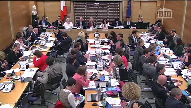 Commission des lois : Pour une immigration maitrisée et un droit d'asile effectif (Art.5 (suite) à art.8) - Mercredi 4 avril 2018