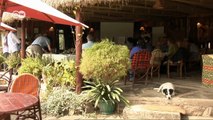 El Lago Bogoria trata de recuperar a sus flamencos | Global 3000