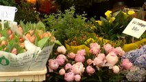 Mercados con encanto: Mercado de flores de Ámsterdam | Euromaxx