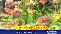 Naya Din | SAMAA TV | Ali Arif | Kiran Aftab | Muhammad Shuaeb | 06 April 2018