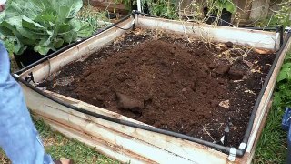 Preparing & maintaining soil for raised beds