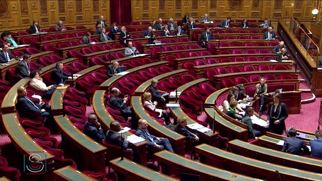 [IVG] Le Sénat a débattu en séance publique sur la constitutionnalisation de l'interruption volontaire de grossesse