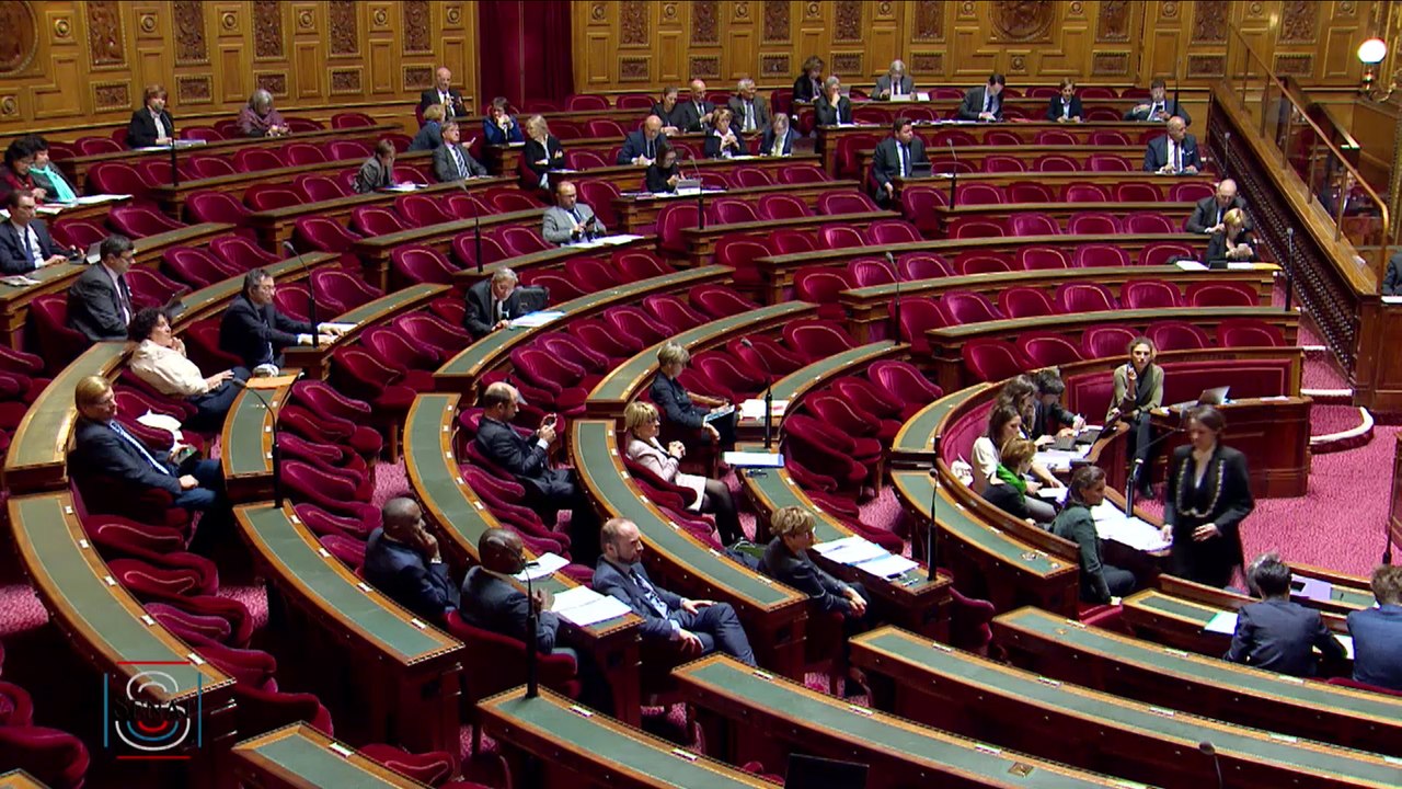 [IVG] Le Sénat a débattu en séance publique sur la constitutionnalisation de l'interruption volontaire de grossesse