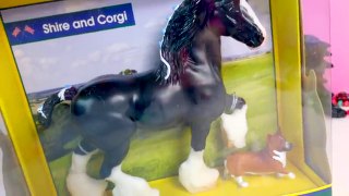 BREYER Shire & Corgi Dog new Horse Best Of Bristish Breeds Breyer Review Honeyheartsc Video