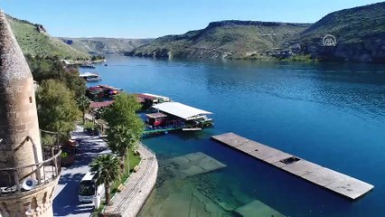Fırat kaplumbağalarının 'gönüllü' bakıcısı - ŞANLIURFA