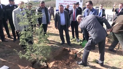 Afrin şehitleri için hatıra ormanı oluşturuldu  - KIRKLARELİ