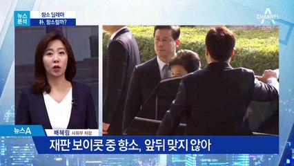 [뉴스분석]항소 어쩌나…딜레마에 빠진 박근혜