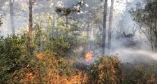 İstanbul'da Yine Yangın Faciası! Aydos Ormanları 1 Saatlik Çalışma Sonrası Söndürüldü