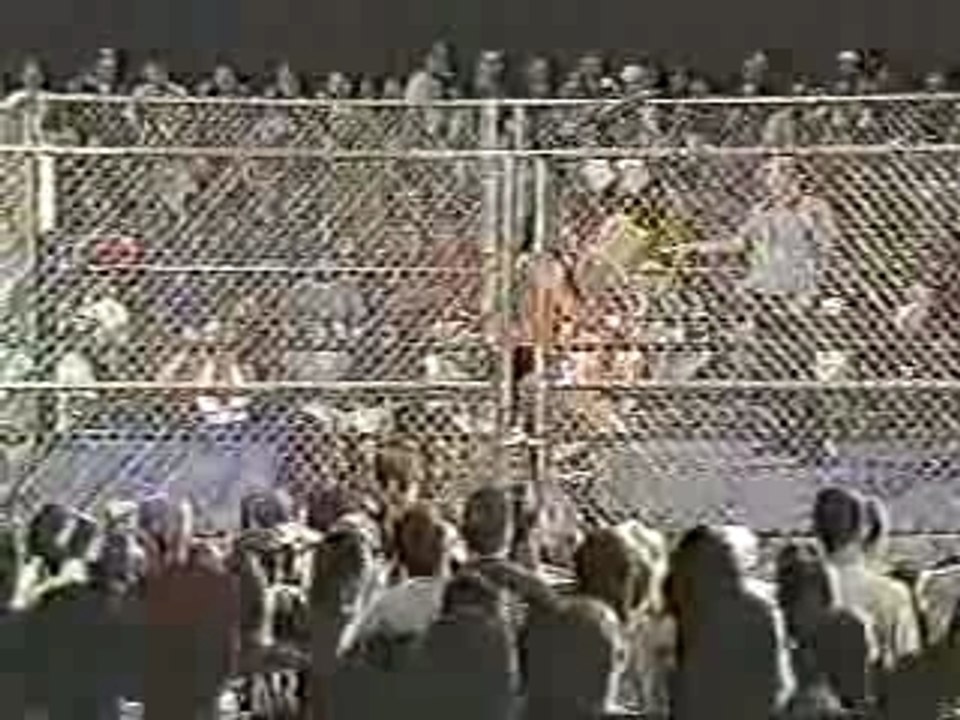Sandman Vs Raven (Cage Match)