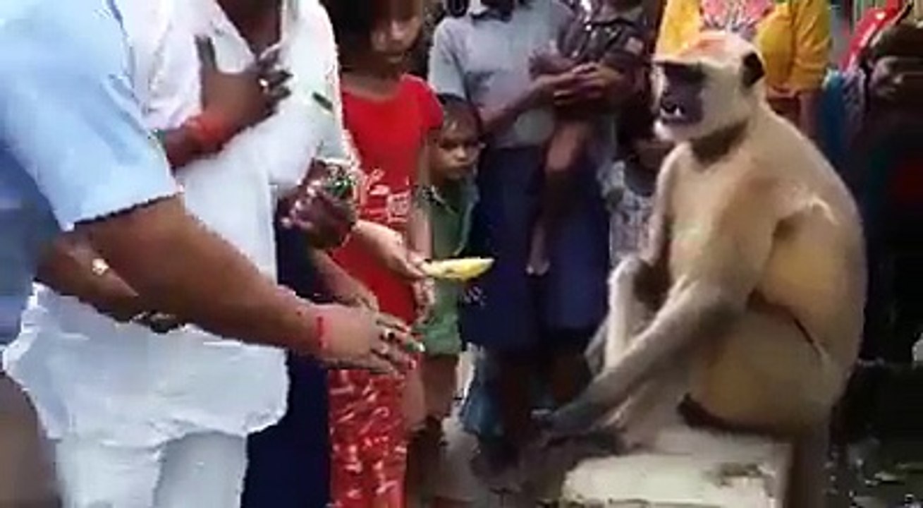 India best video
