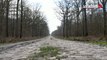Paris-Roubaix : le jour où la trouée d'Arenberg est devenue un symbole