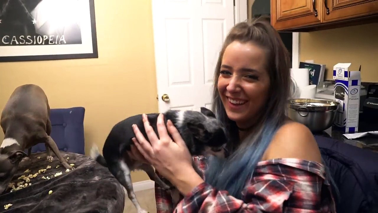 My Dog Eating Popcorn for 2 Minutes Straight. -ASMR