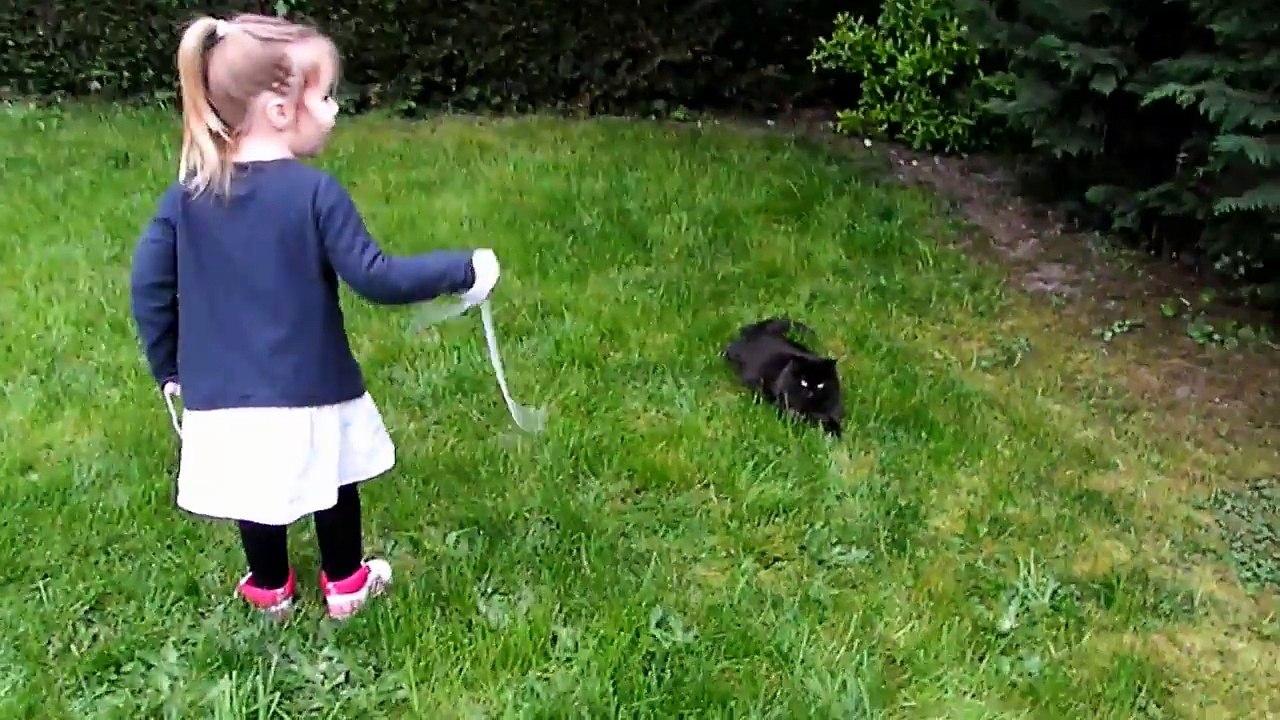 VLOG On joue avec le chat et des ficelles ! Minouche Outdoor