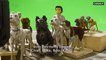 Direction L'île aux chiens avec Wes Anderson - Reportage cinéma