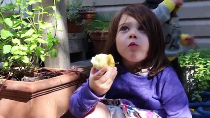 REAL FAIRIES CAUGHT ON CAMERA With Child!!!