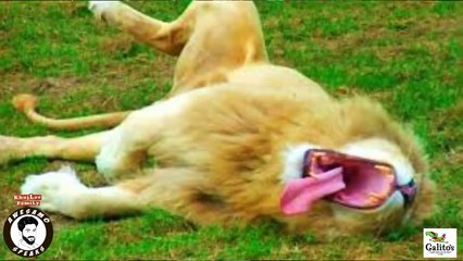 INDIAN MOVIES KA ANOKHA ACTION - AWESAMO SPEAKS