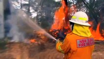 Devastadores incendios en Australia | Journal