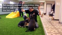 INSTA: Indoor Las Vegas dog park offers shelter from heat