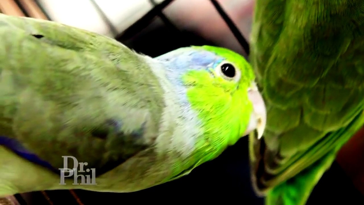 Man Claims Parents Sold The Family Business Out From Under Him