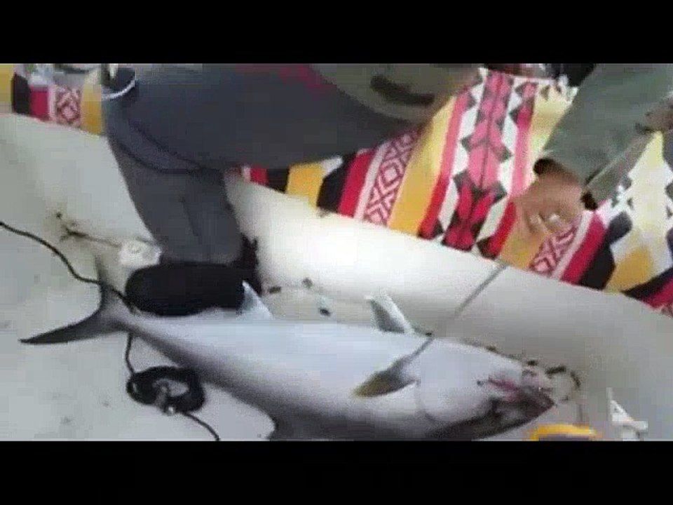 JİG TURLARI - Büyük Balık Avı. | Kalkan kardeşler jigging videoları