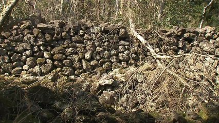 4·3 군경 주둔소 또 발견...망루·집터 흔적 고스란히 / YTN