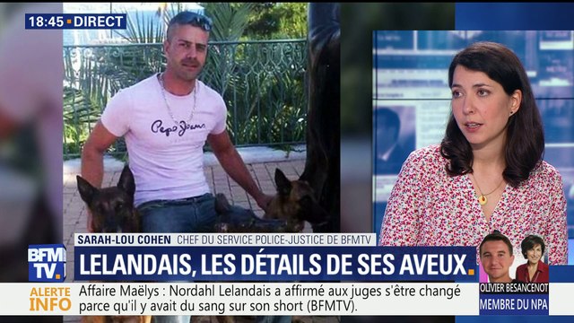 Affaires Maëlys et Noyer: Nordahl Lelandais livre sa version des faits (2/2)