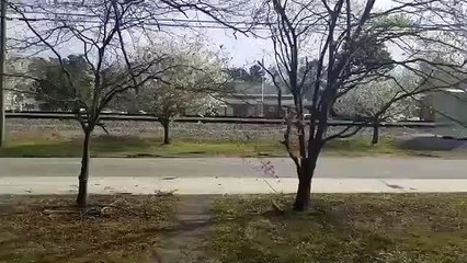 Truck finds itself stuck on railway track when passing a train