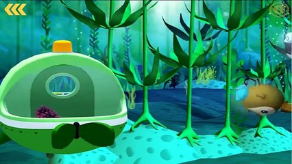 Octonauts Activity - Funny Games by Disney Junior - HD