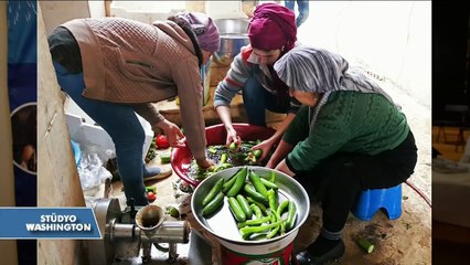 Washington 9’ncu Türk Restoranları Haftası Devam Ediyor