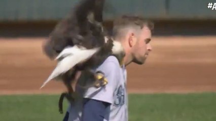 MLB Mariners pitcher James Paxton SURVIVES Eagle ATTACK!
