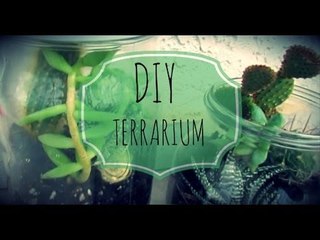 DIY: Terrarium Σε Βάζο!