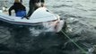 Un énorme requin blanc s'en prend à un petit bateau... Images impressionnantes